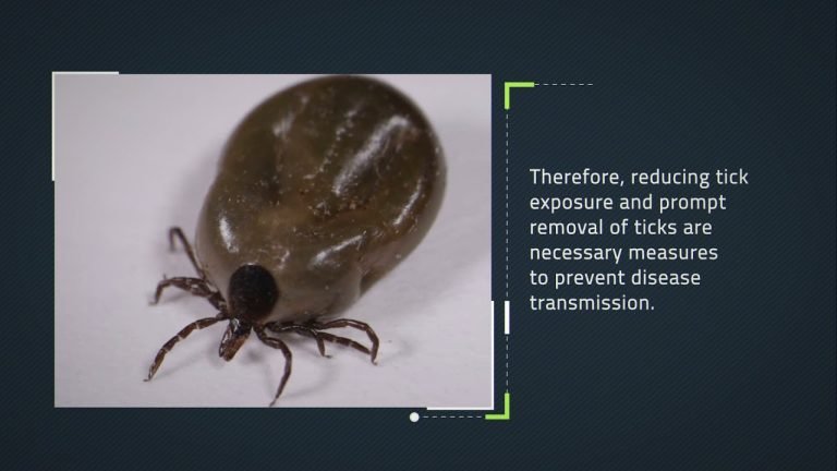 Tick Survival: How Long Without a Host